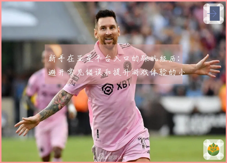 新手在亚星平台入口的踩坑经历：避开常见错误和提升游戏体验的小技巧