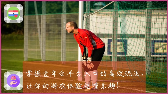 掌握金年会平台入口的高效玩法,让你的游戏体验倍增乐趣!