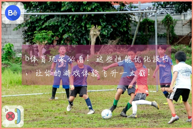 b体育玩家必看！这些性能优化技巧，让你的游戏体验飞升一大截！