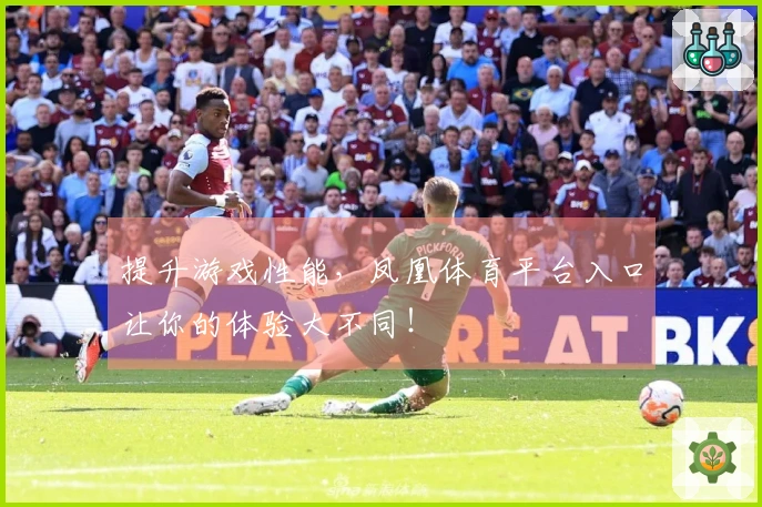 提升游戏性能，凤凰体育平台入口让你的体验大不同！