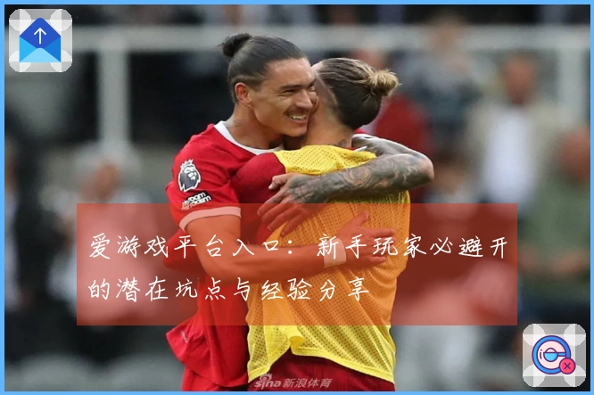 爱游戏平台入口：新手玩家必避开的潜在坑点与经验分享